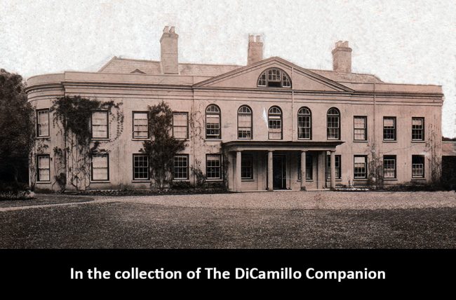 Dummer House - DiCamillo