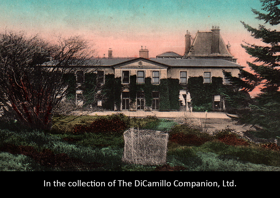 Tullymore Park (Tollymore Park) (Bryansford House) DiCamillo