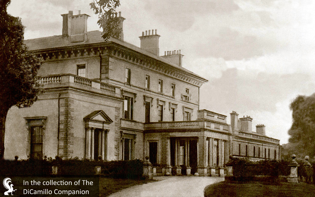 Ballywalter Park (Springvale) DiCamillo