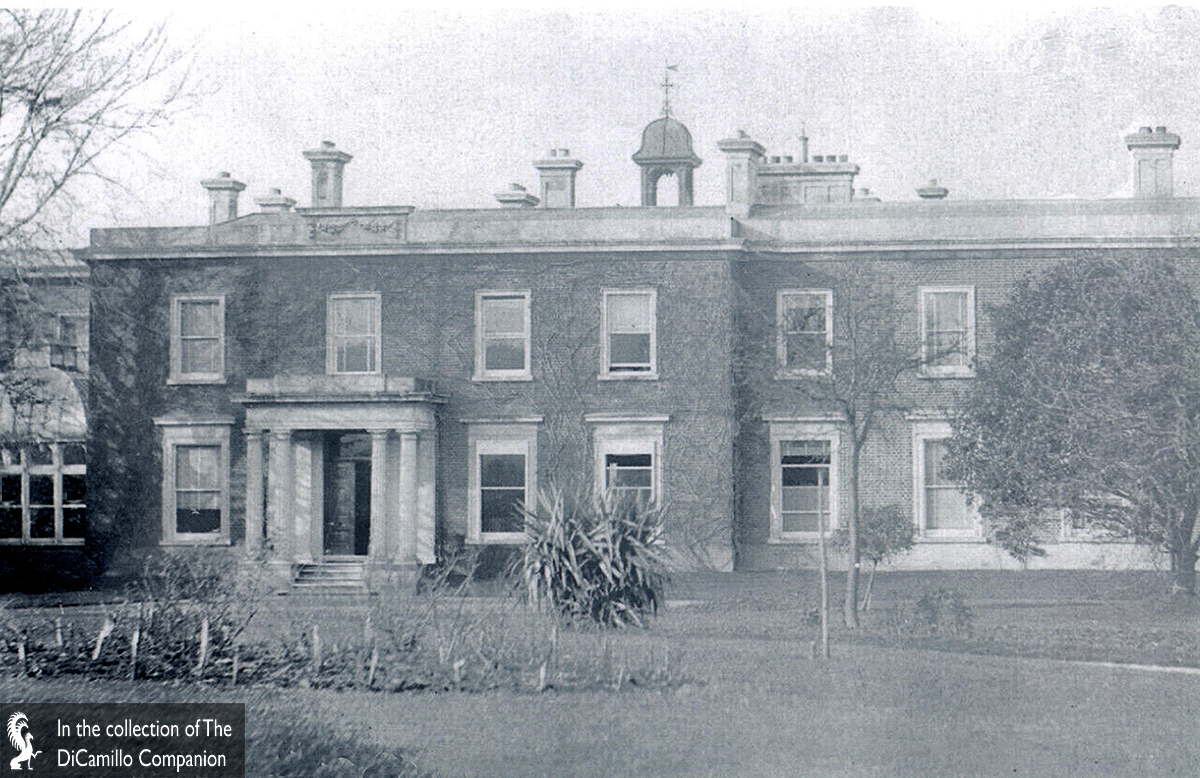 Mount Ephraim DiCamillo